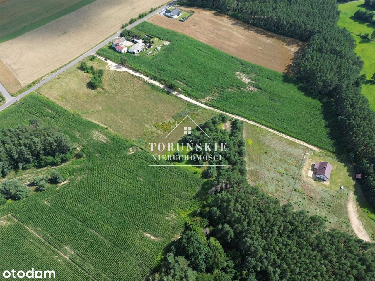 Działka rolna z przeznaczeniem pod siedlisko/dom - Pełny obrazek: 4/5