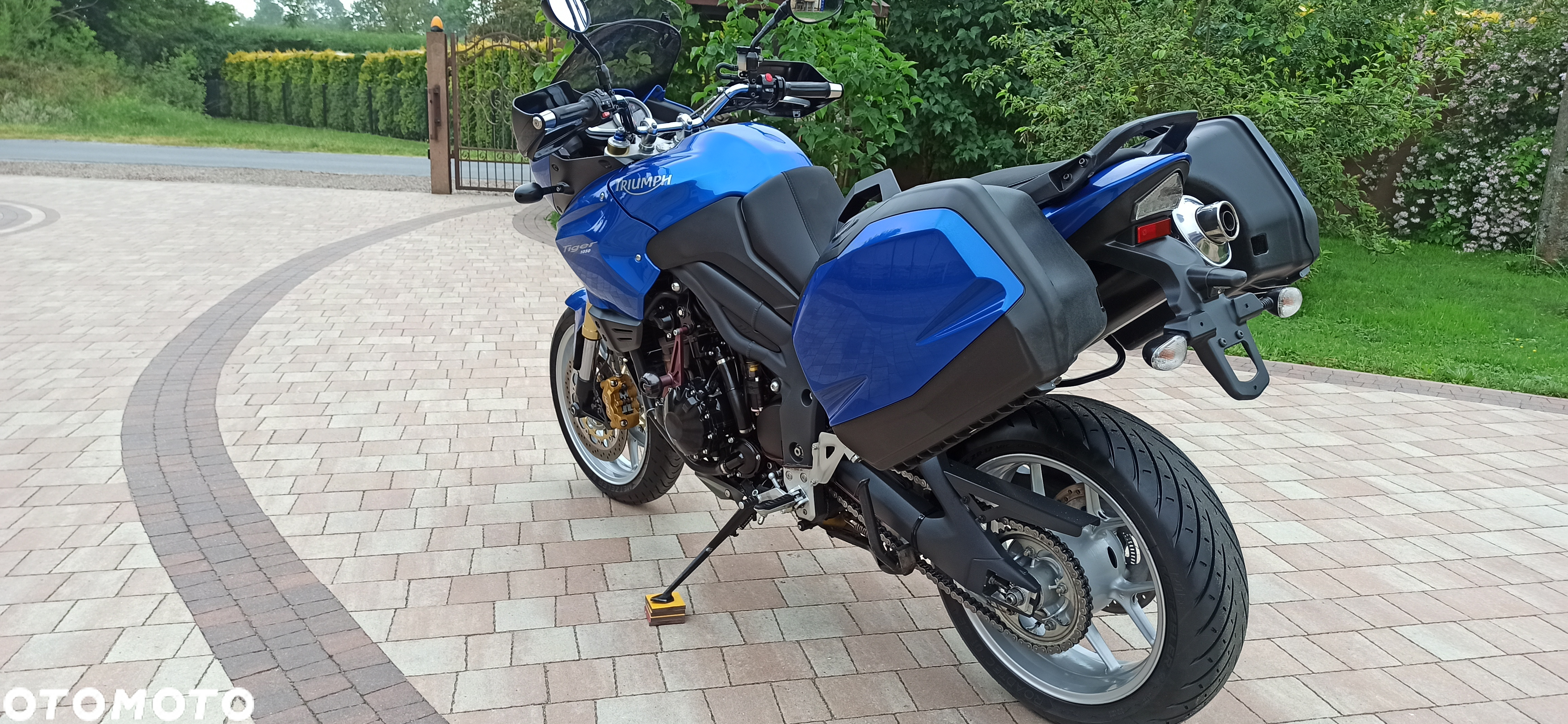 Triumph Tiger - 7