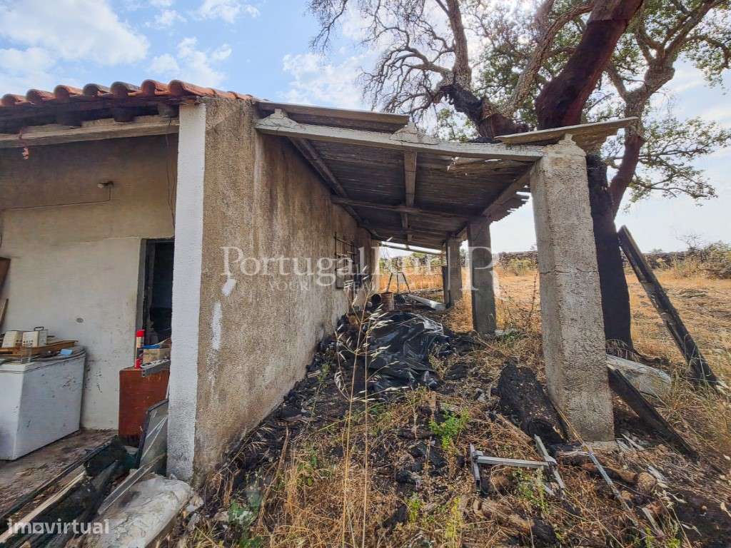 Quintinha de 1.8 hectares em Medelim-20