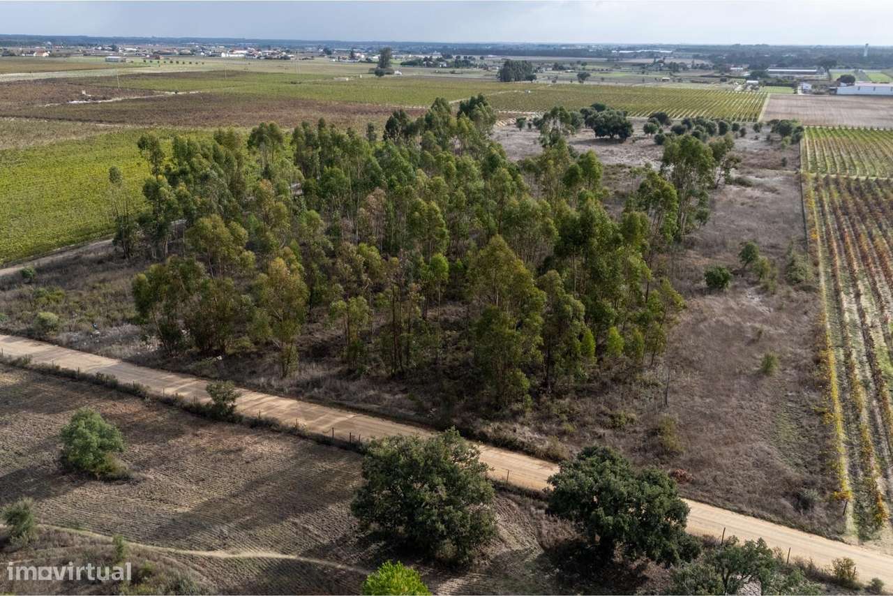 Terreno Marateca - Grande imagem: 5/18