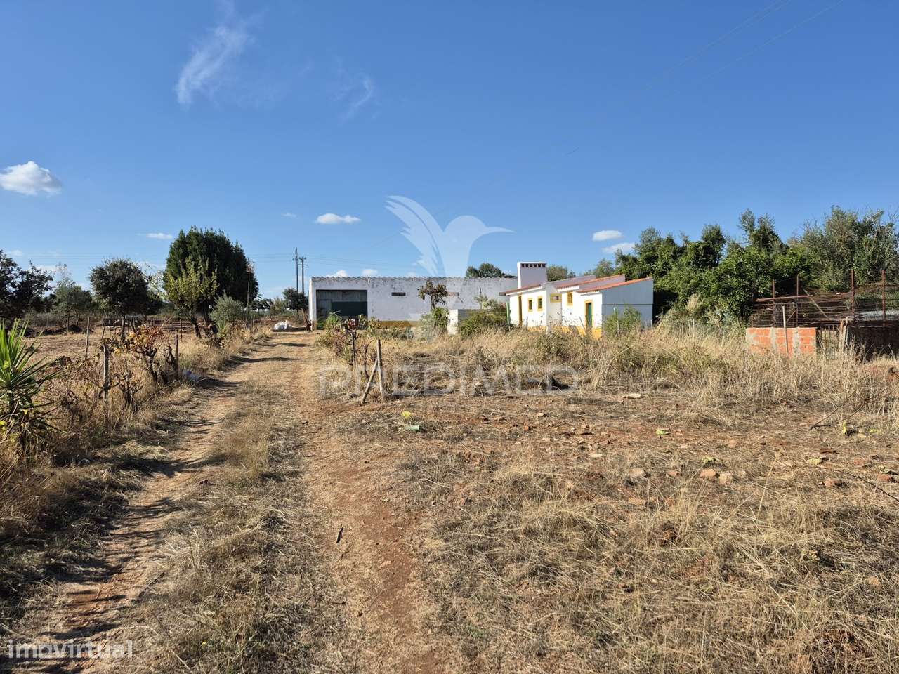 Terreno Rustico - Grande imagem: 5/39