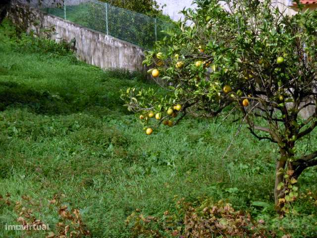 Terreno para construção - Grande imagem: 2/2