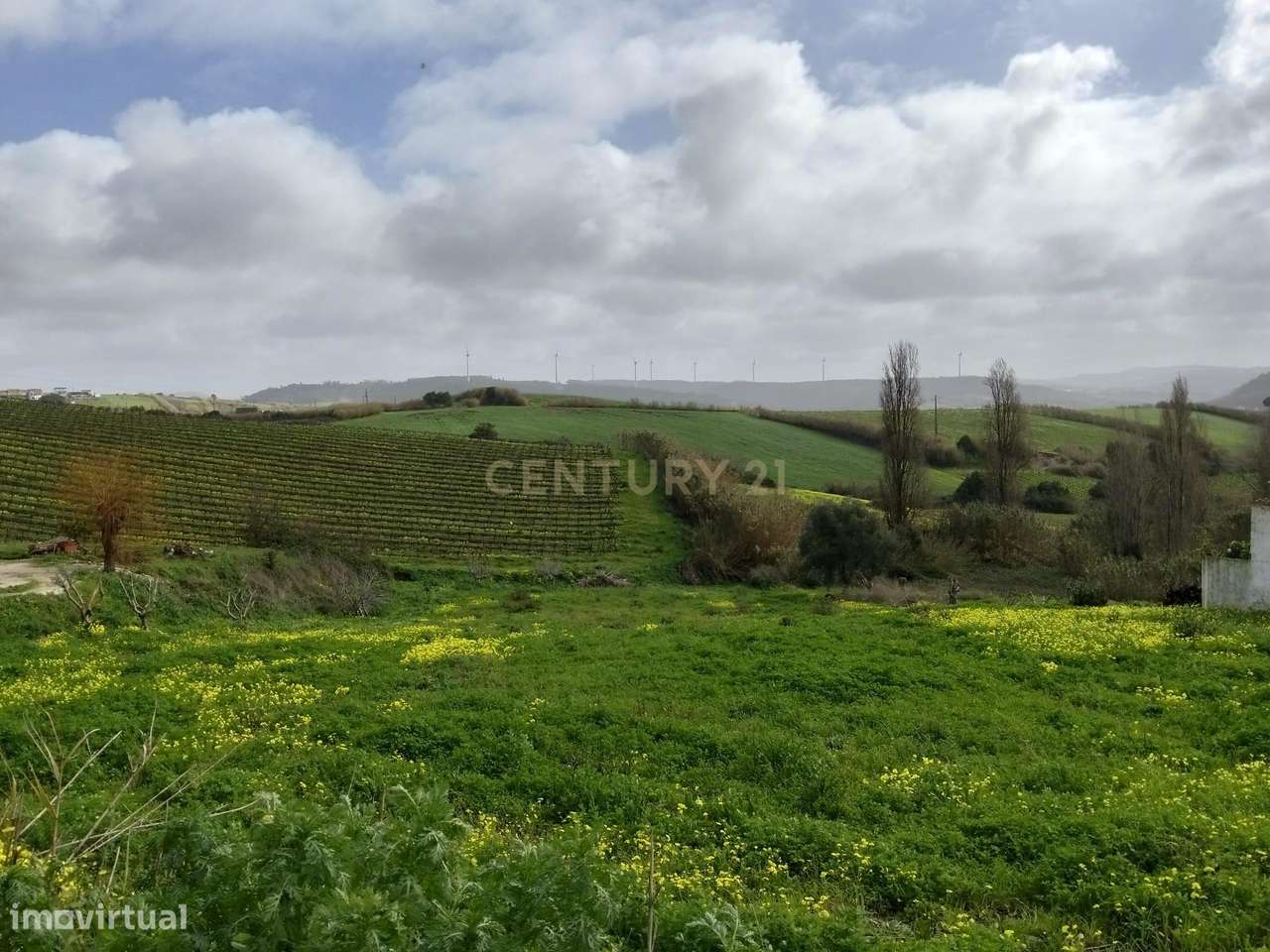 Terreno Urbano para Construção – Estrada da Cambaia, Encarnação | Mafr-5