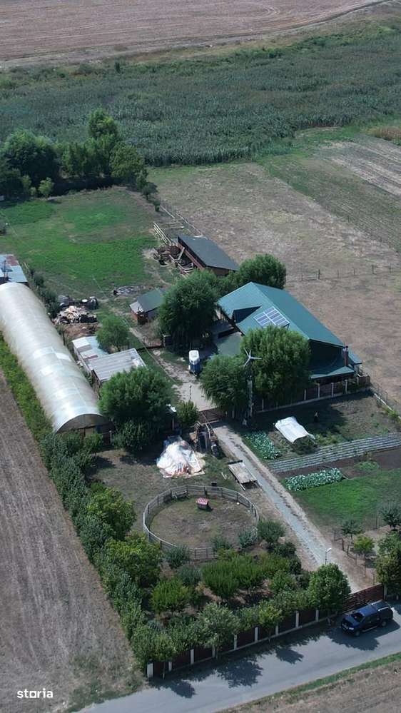 Ferma Frumusani,4062 mp teren-5