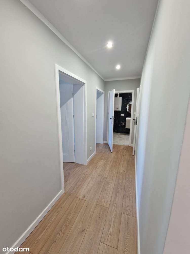 M3 z oddzielną kuchnią - Pełny obrazek: 5/12