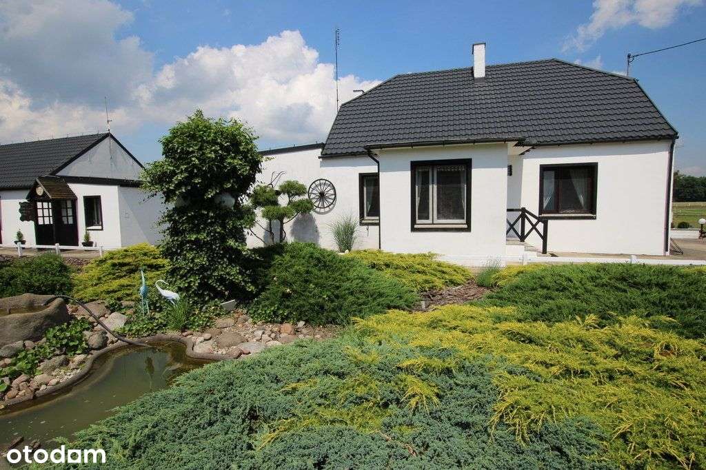 Stadnina koni z pełnym zapleczem hotelowym-4