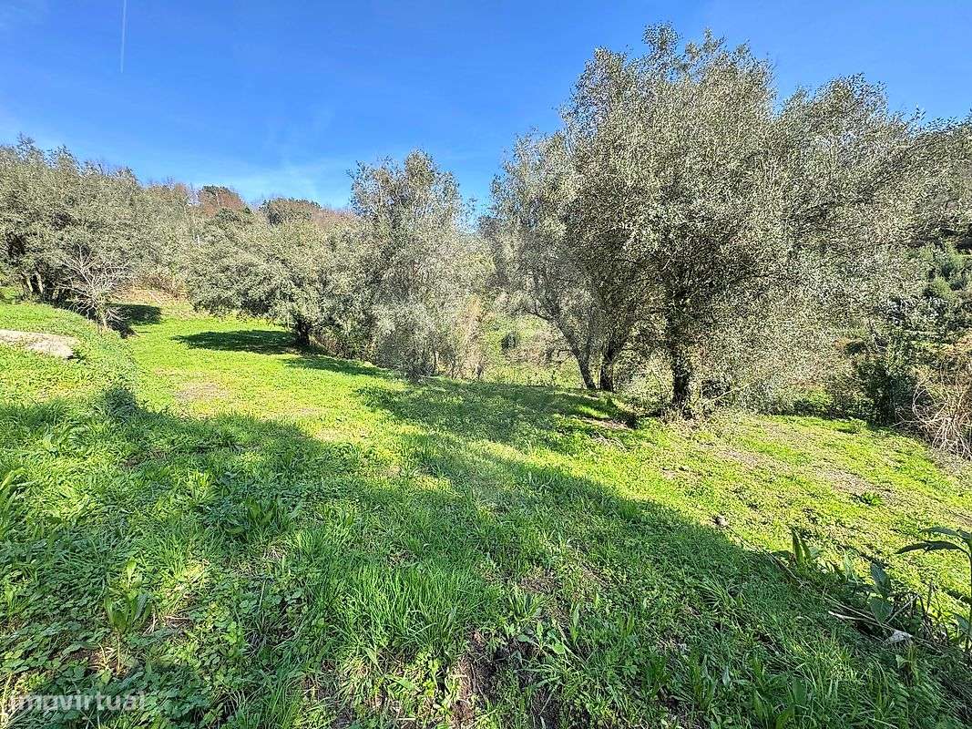 Terreno  para venda-13