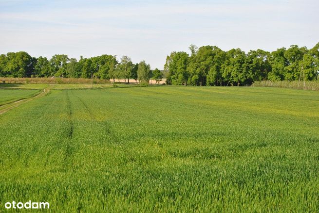 Działka w pięknej okolicy z dużymi możliwościami