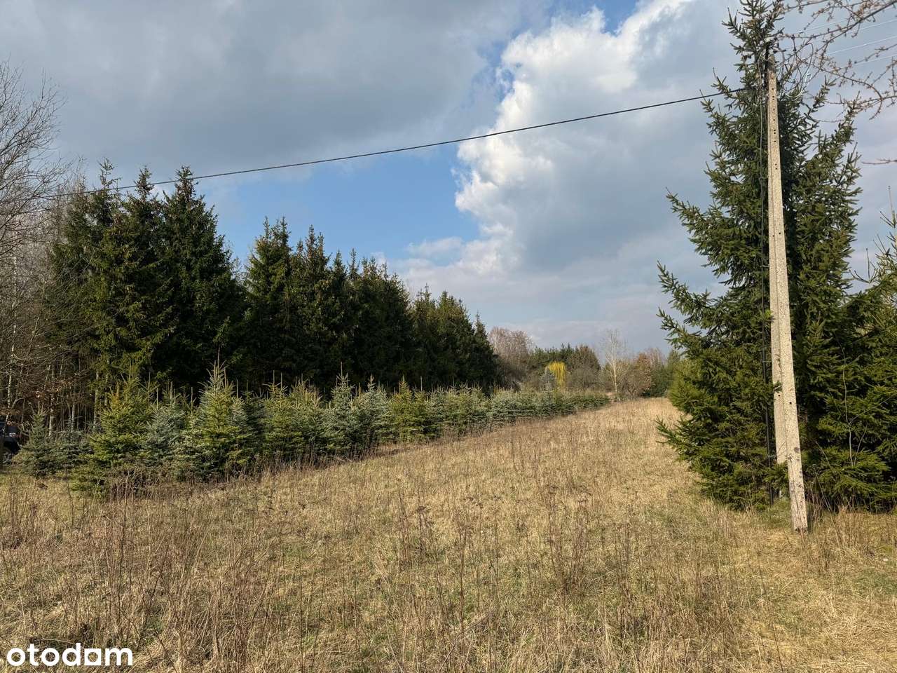 Działka inwestycyjna, Przemysłowo usługowa! Mszczonów. Powązki - Pełny obrazek: 2/2