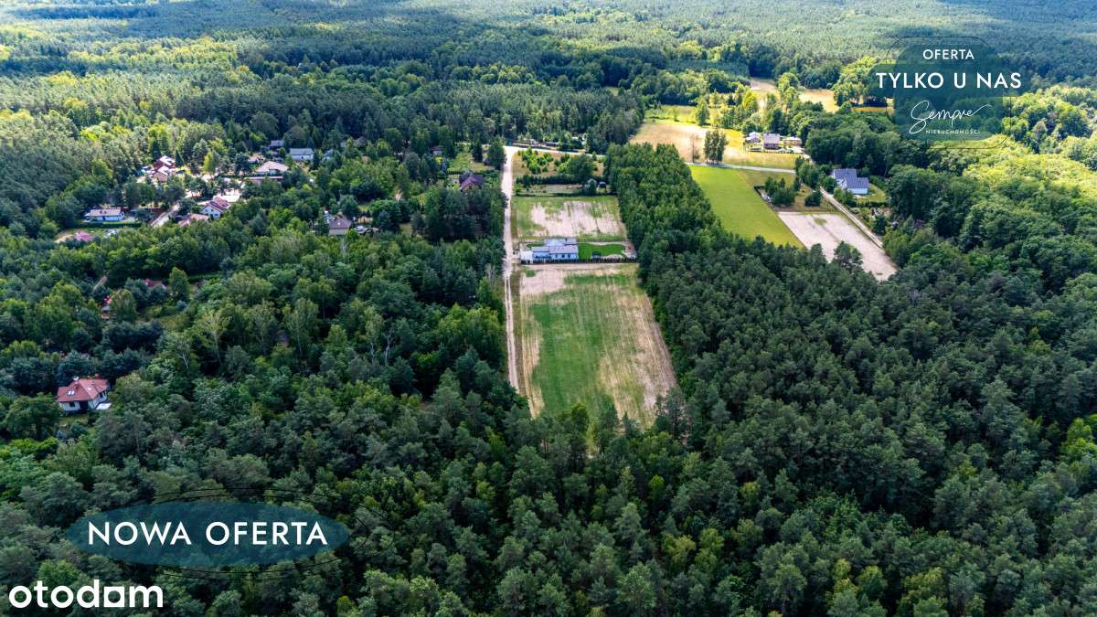 Leśna enklawa pod zabudowę - Pełny obrazek: 4/10