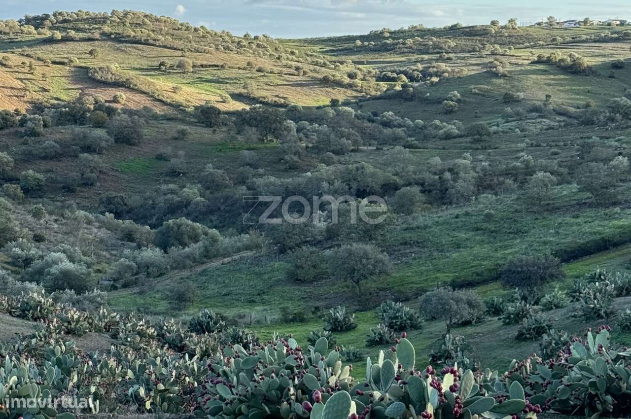 Herdade Vale do Guadiana 25HA-12