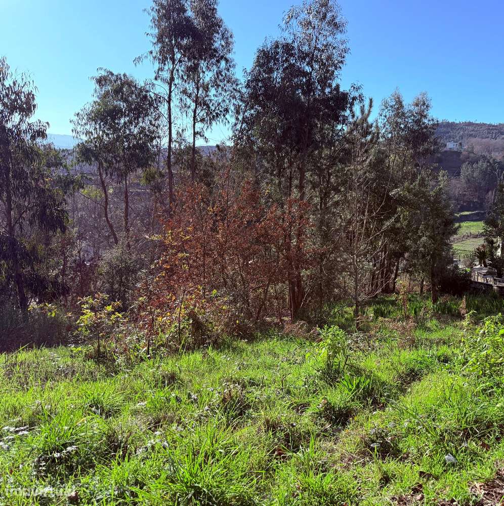 Terreno em Celorico de Basto - Grande imagem: 4/10