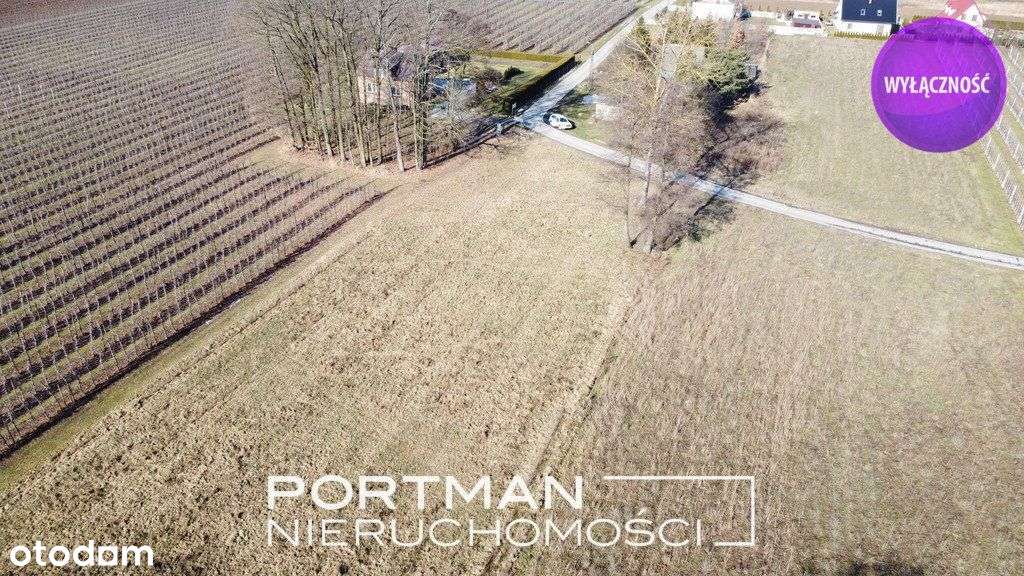 Piękna działka w Wildze, okolicy cichej i zielonej-4