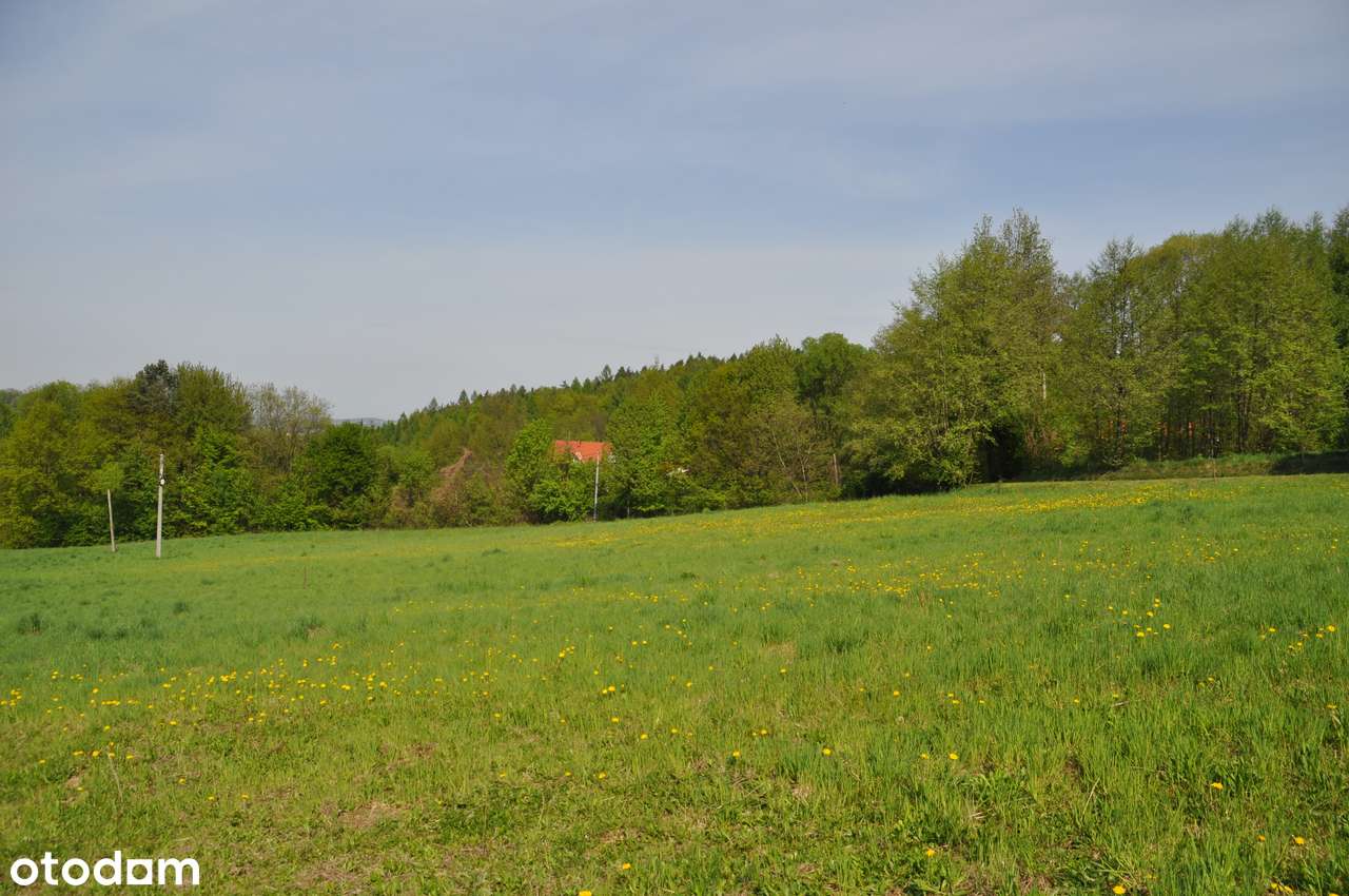 Krzyworzeka - dom na sprzedaż-17