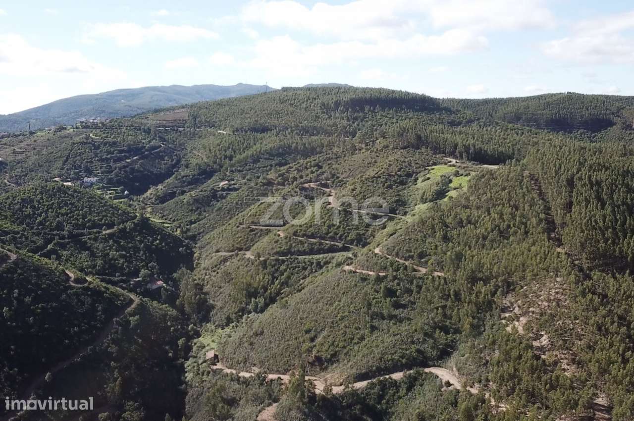 Terreno rústico em Alferce, Monchique - Grande imagem: 5/15