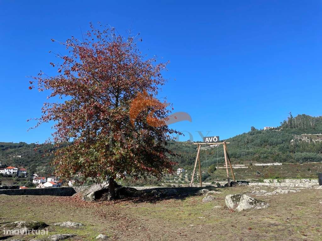 Casa para renovar com 2 quartos em Avô (Oliveira do Hospital)-14