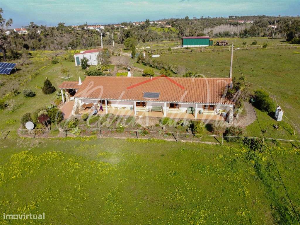 Quinta com 6,5ha em Vale Juncal - São Teotónio-34