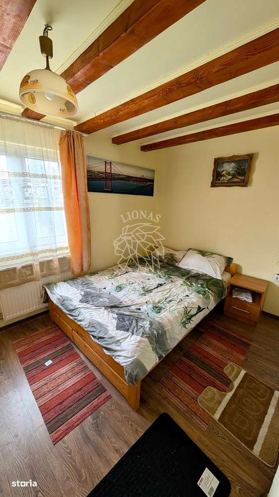 Oferta! Cabana 7 camere 215 mp+anexa-teren 500 mp-foisor-Colibita-2