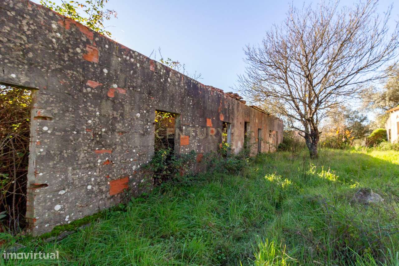 Moradia Térrea para Requalificação Total – Junqueira - Grande imagem: 4/4