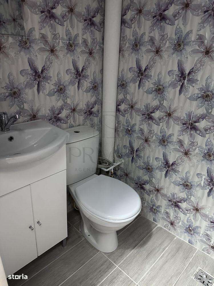 Apartament 1 camera- Blascovici - Imagine principală: 4/7