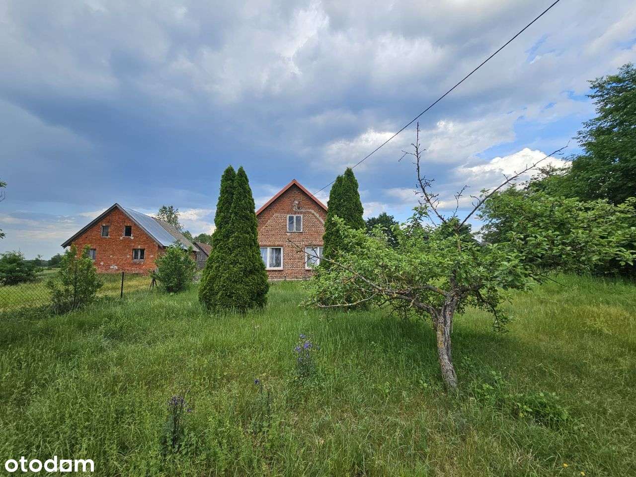 Dom na dużej działce, wraz z zabudowaniami-8