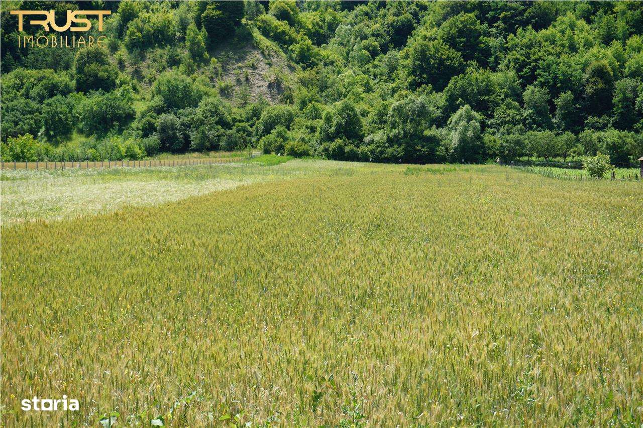 Teren intravilan Malut acces direct din DJ 172 F - Imagine principală: 5/13