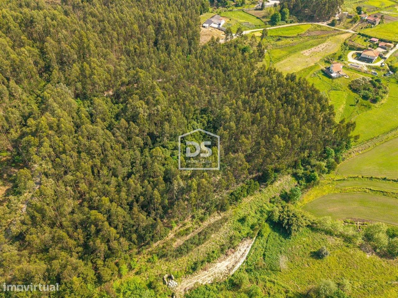 Terreno  Venda em Duas Igrejas,Penafiel-10