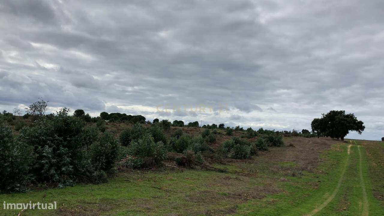 Terreno Rústico de Cultura Arvense     ...Possível Exploração Foto-Vol - Grande imagem: 4/10