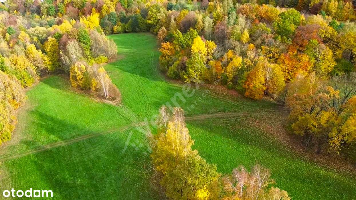 Inwestycja na górskim zboczu - Podgórzyn - Pełny obrazek: 5/7