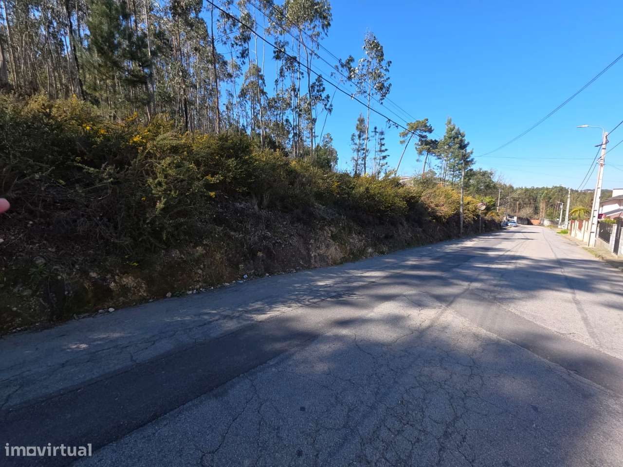 Terreno para construção em Sanguedo - Grande imagem: 3/6