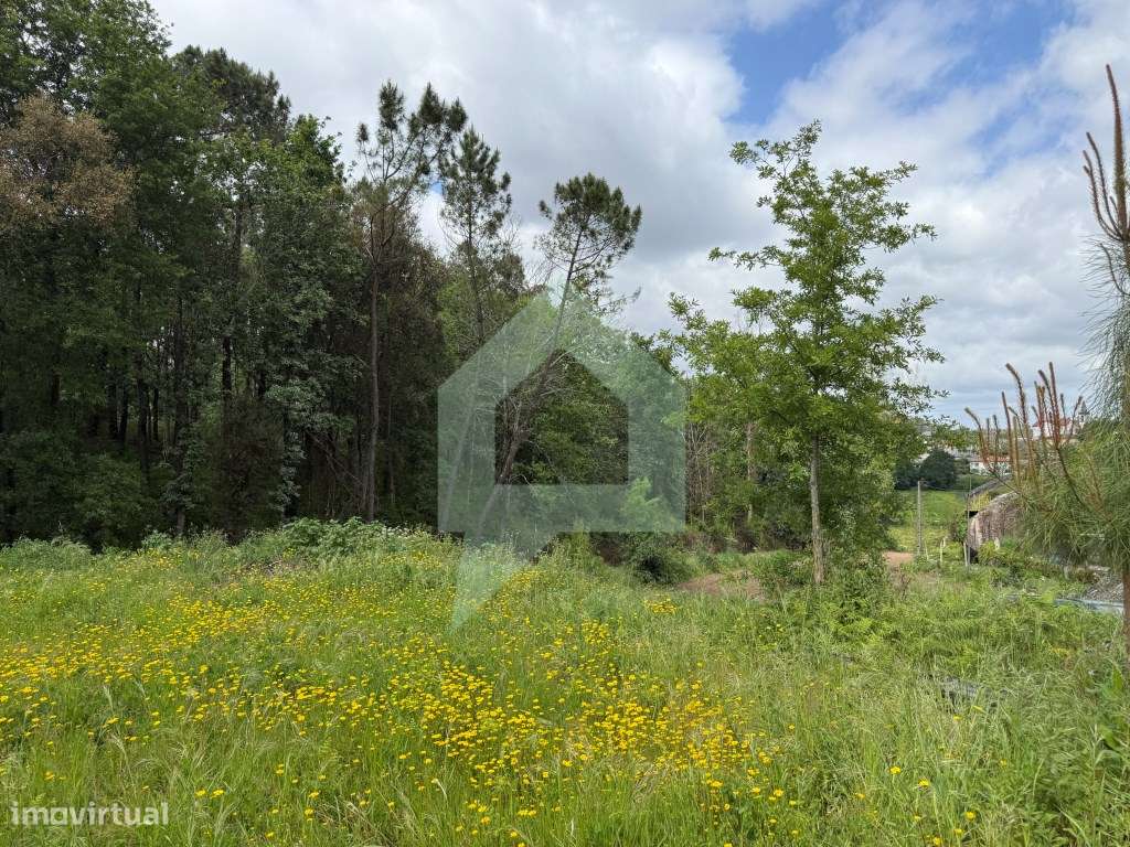 Terreno com 3000m² em Arentim, Braga - Zona de Construção e Agrícola - Grande imagem: 4/17