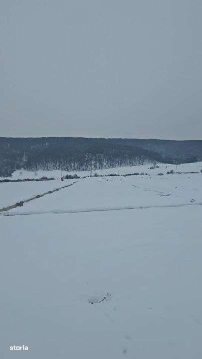 Hala de 600mp, teren de 1200mp, Gilau - Imagine principală: 4/4