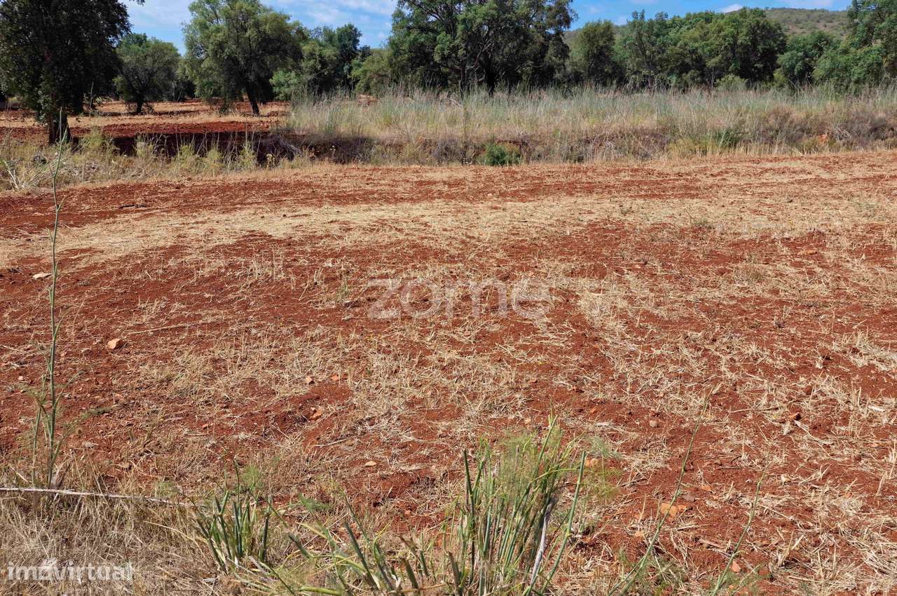 Terreno Nave dos Cordeiros - Loulé - Grande imagem: 4/19