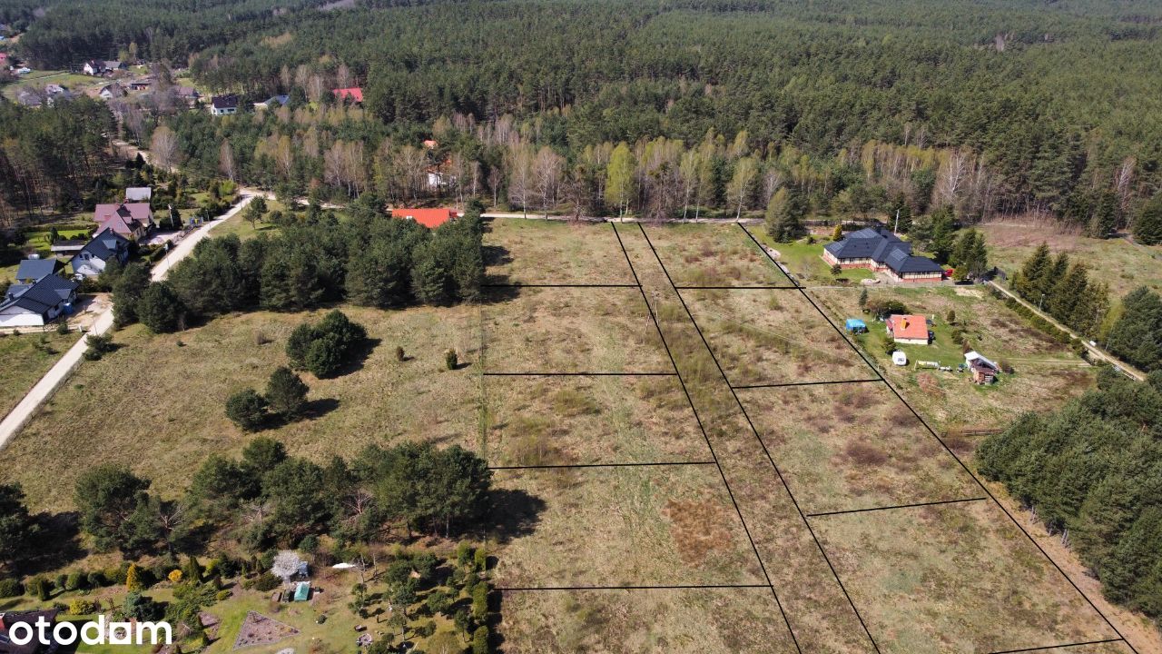 Działki budowlane pośród lasu - film z drona