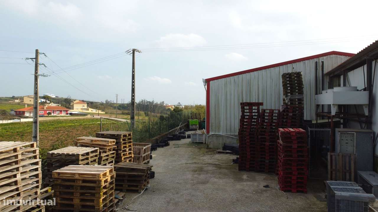 Armazém Industrial com Câmaras Frigoríficas – Lourinhã - Grande imagem: 5/21