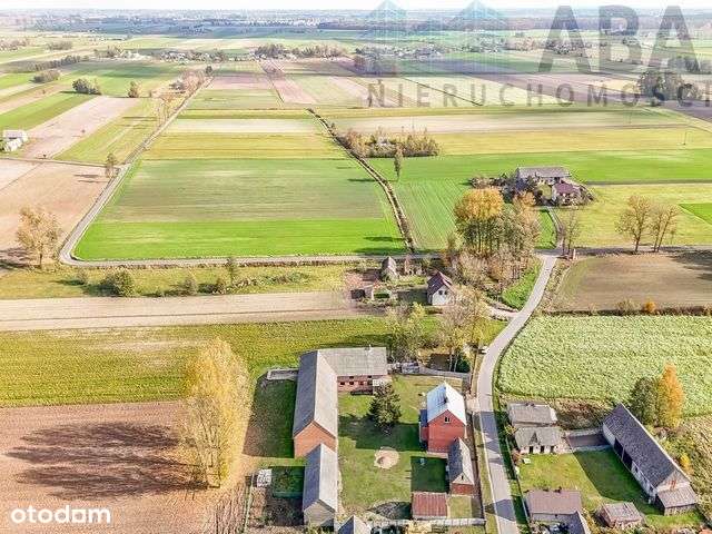 Gospodarstwo rolne, Skotniki - OBNIŻONA CENA - Pełny obrazek: 4/17