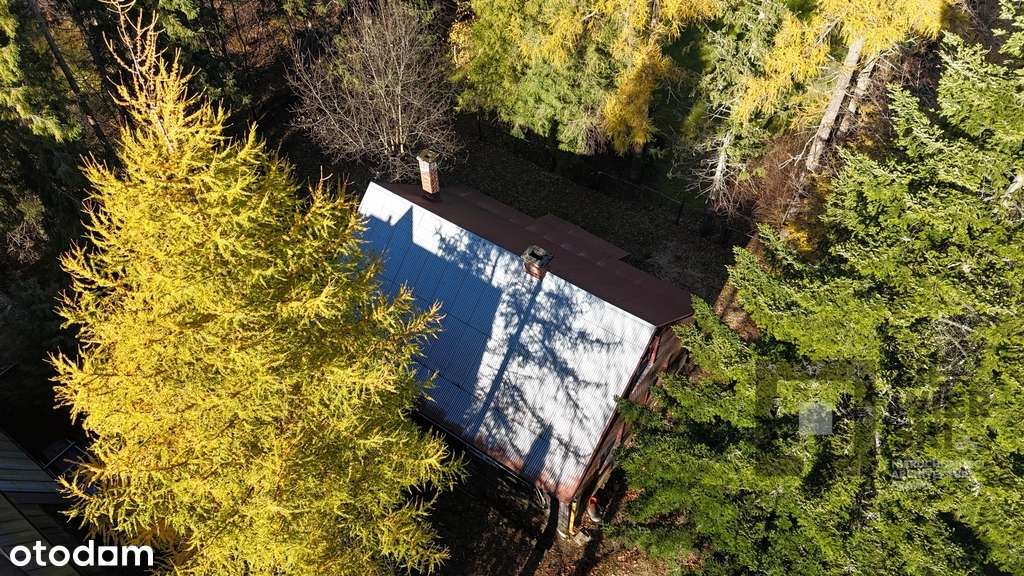 Działka z domem do remontu przy Parku narodowym-9