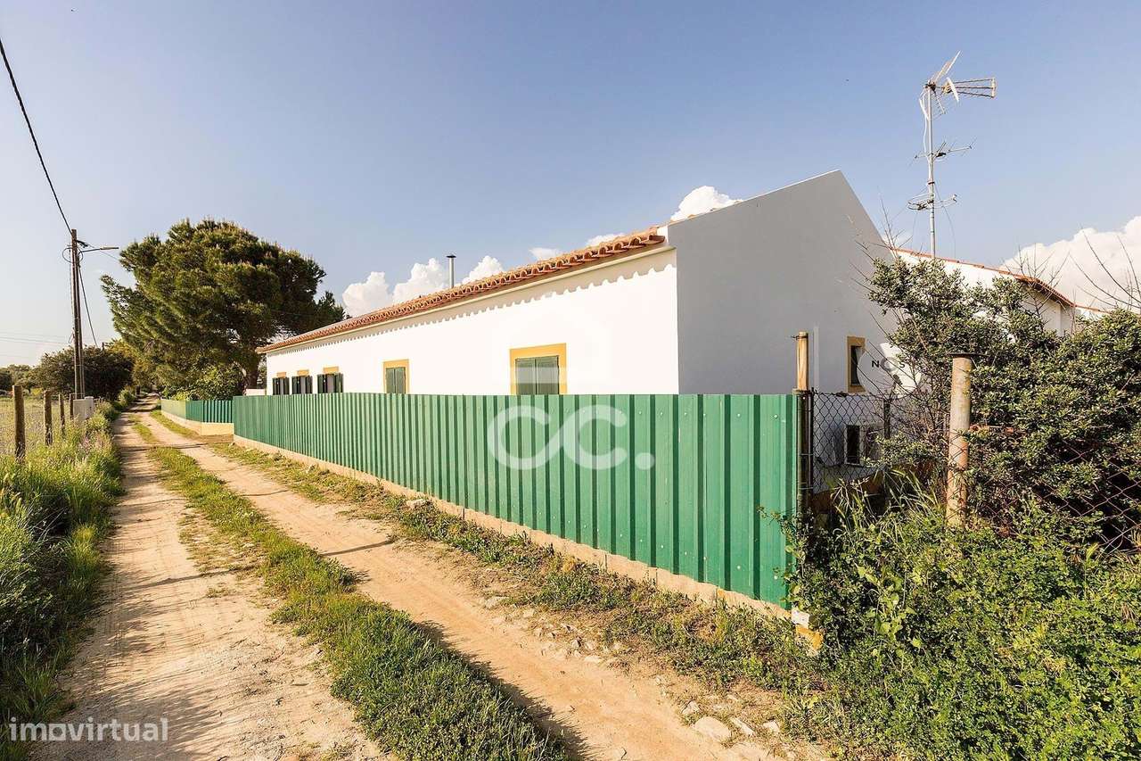 Quinta de 9250m2 c/ Moradia T4 térrea, anexo e armazém | Azaruja-37