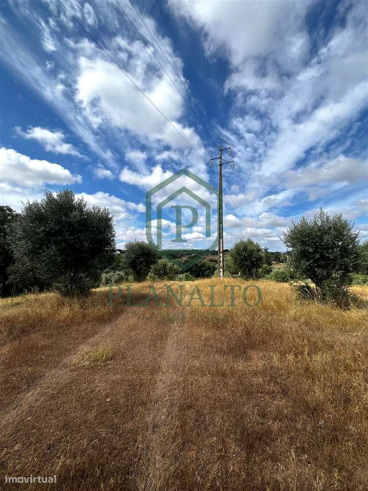 Quinta >=T10 Venda em Cortiçadas de Lavre e Lavre,Montemor-o-Novo-14