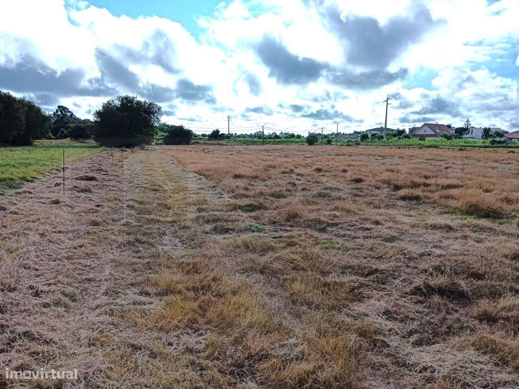 Terreno Rustico / Agrícola - Cacia - Para Investimento - Grande imagem: 2/21