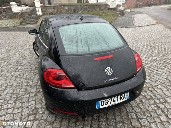 Volkswagen Beetle - 16