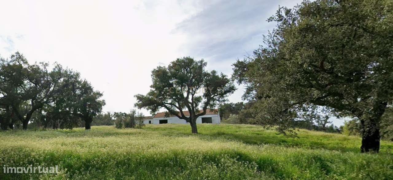Herdade 237 Hectares Elevado Potencial de Desenvolvimento, Santiago do-14