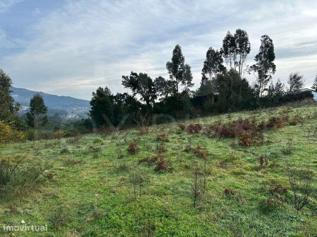 Terreno para Construção em Messegães - Grande imagem: 4/7