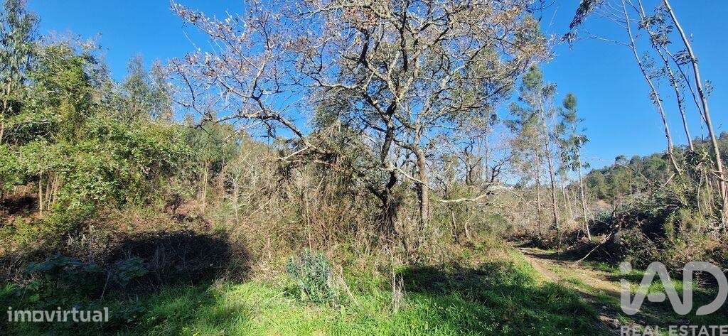 Terreno em Venda do Pinheiro e Santo Estêvão das Galés de 11625,00 m2 - Grande imagem: 4/9