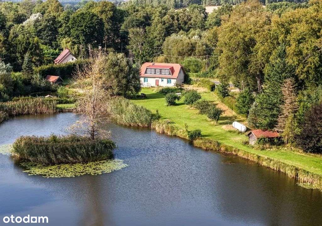 Willa z historią i ponad 4 hektarami ziemi-6