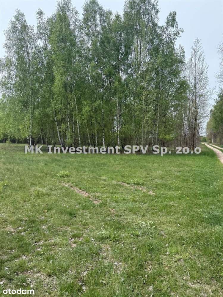 1,2 h Siedlisko Kampinos Małocice/Czosnów - Pełny obrazek: 4/6