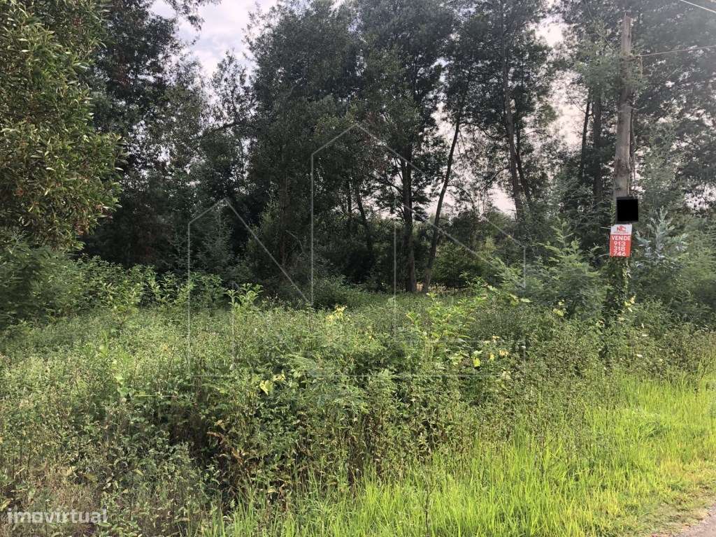 Terreno - Grande imagem: 4/4