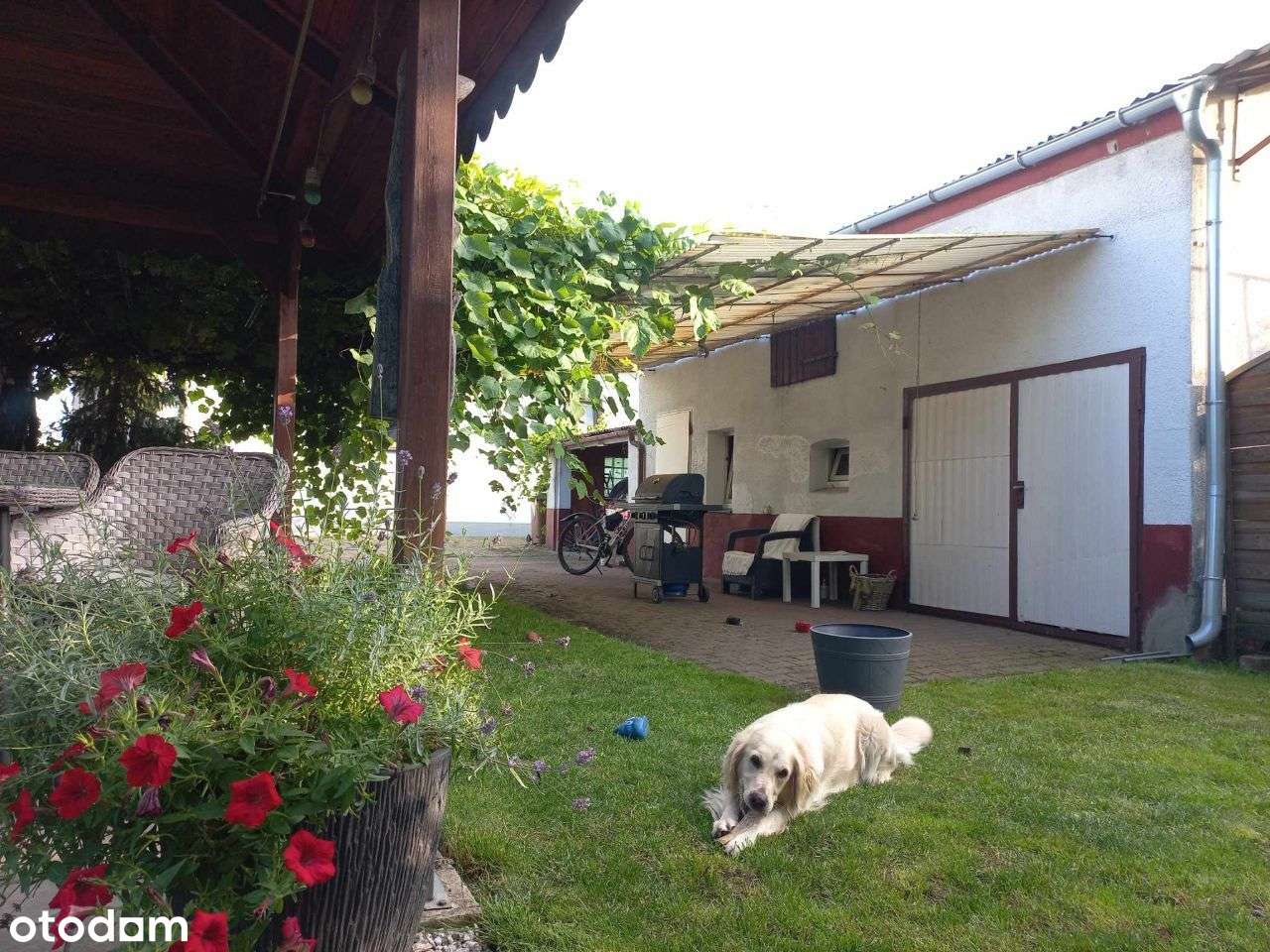 Dom w zabudowie bliźniaczej, 125 m2, Opalenica - Pełny obrazek: 5/20