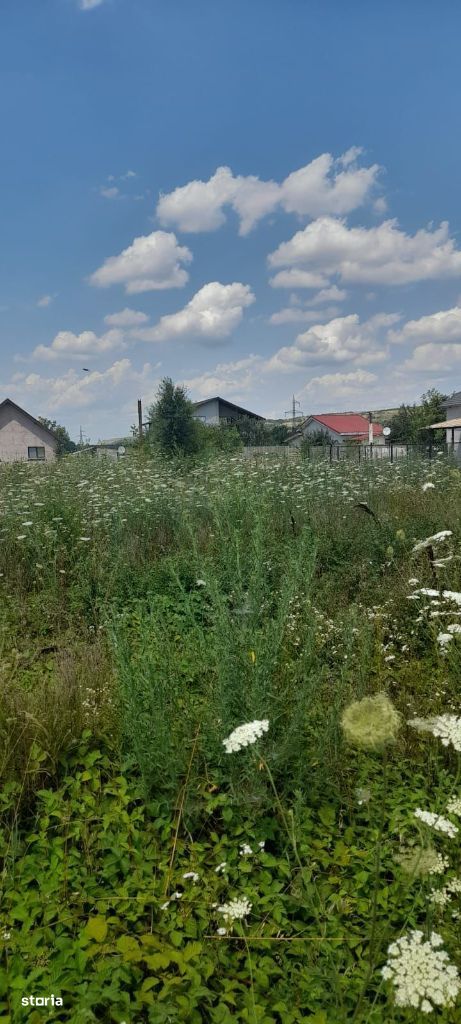 Intravilan sat Mogoșești com Goiești după Șimnicu de Sus,433mp,curent