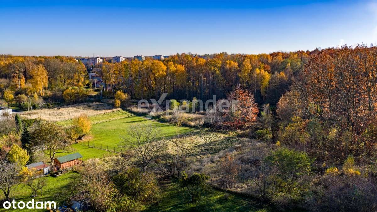 ul.. Jaśminowa/Brzozowa-granica Mikołowa i ŁaziskG-13